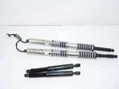 Tailgate/trunk strut/damper