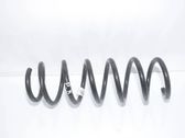 Front coil spring