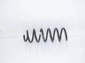 Front coil spring