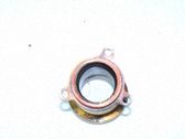 Duslintuvo jungtis