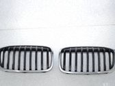 Maskownica / Grill / Atrapa górna chłodnicy