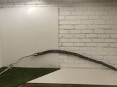 Roof airbag