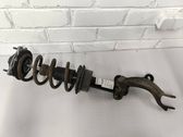 Front shock absorber/damper