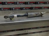 Rear shock absorber/damper