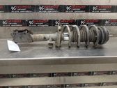 Front shock absorber with coil spring