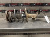 Front shock absorber with coil spring