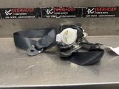 Sicherheitsgurt vorne