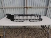 Front bumper lower grill