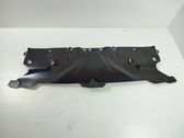 Radiator trim