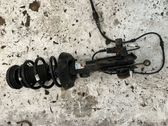 Front shock absorber/damper