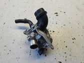 Throttle body valve