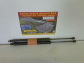 Tailgate/trunk strut/damper