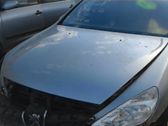 Engine bonnet/hood