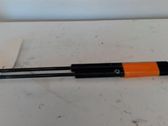 Tailgate/trunk strut/damper