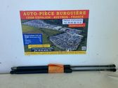 Tailgate/trunk strut/damper