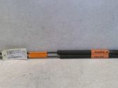 Tailgate/trunk strut/damper
