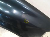 Fender