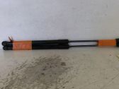 Tailgate/trunk strut/damper