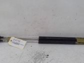 Tailgate/trunk strut/damper