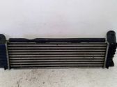 Starpdzesētāja radiators