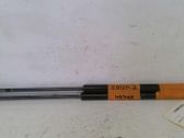 Tailgate/trunk strut/damper