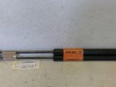 Tailgate/trunk strut/damper