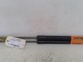 Tailgate/trunk strut/damper