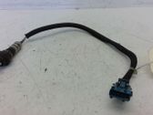 Lambda probe sensor