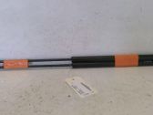 Tailgate/trunk strut/damper