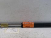 Tailgate/trunk strut/damper