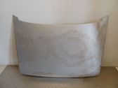 Motorhaube
