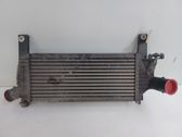 Interkūlerio radiatorius