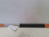 Tailgate/trunk strut/damper