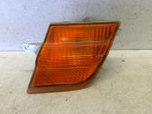 Front fender indicator light