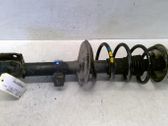 Front shock absorber with coil spring