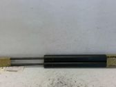 Tailgate/trunk strut/damper