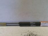 Tailgate/trunk strut/damper