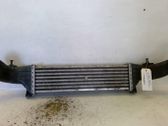 Intercooler radiator