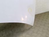 Engine bonnet/hood