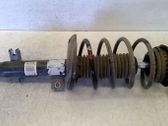 Front shock absorber with coil spring