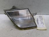 Front fender indicator light