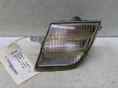 Front fender indicator light