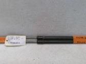 Tailgate/trunk strut/damper