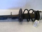 Front shock absorber with coil spring