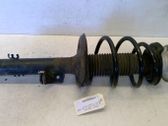 Front shock absorber with coil spring