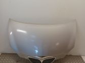 Engine bonnet/hood