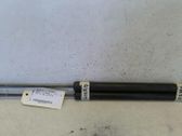 Tailgate/trunk strut/damper