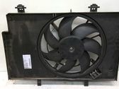Electric radiator cooling fan