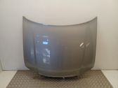 Engine bonnet/hood