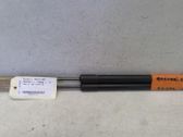 Tailgate/trunk strut/damper